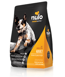 Adjustable Dog Collar - Medium