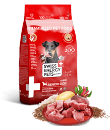 Interactive Cat Toy Set