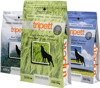 Self-Cleaning Cat Litter Box